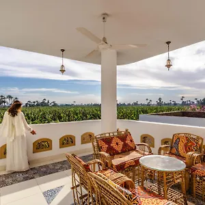 https://sara-guesthouse-luxor.hotels-luxor-egypt.com